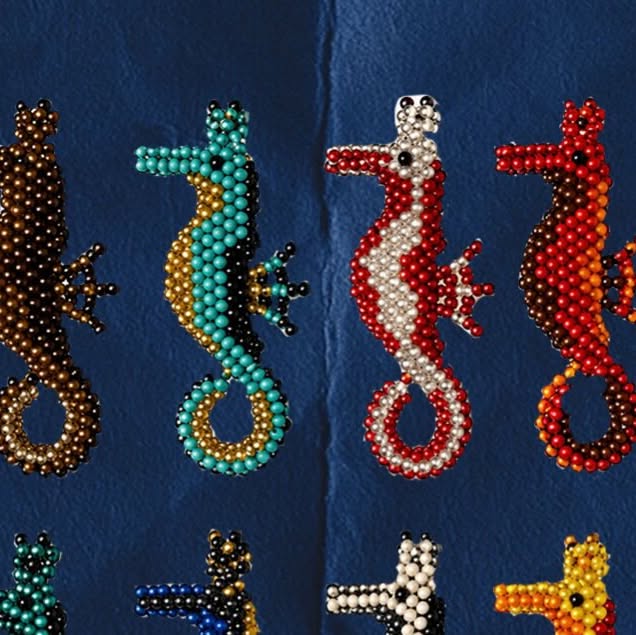 Caballitos de mar